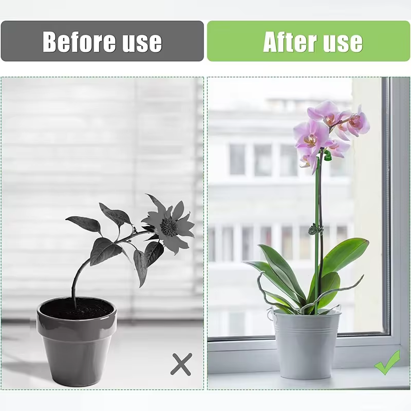 10 PCs । Plant Support Stake with Ring (Green) (37 cm) । CN-38